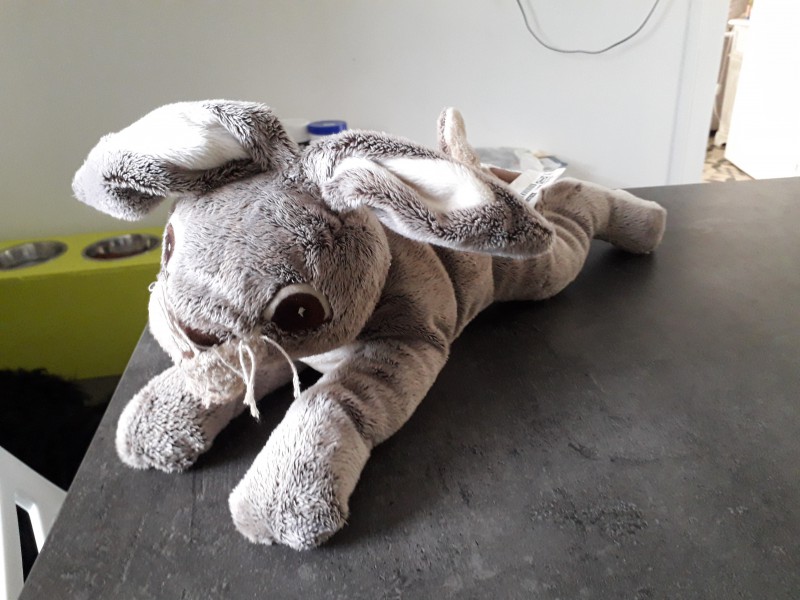 Doudou lapin