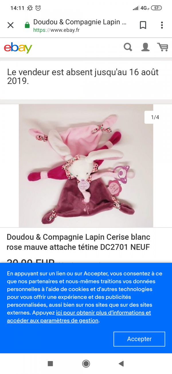 Perdu doudou