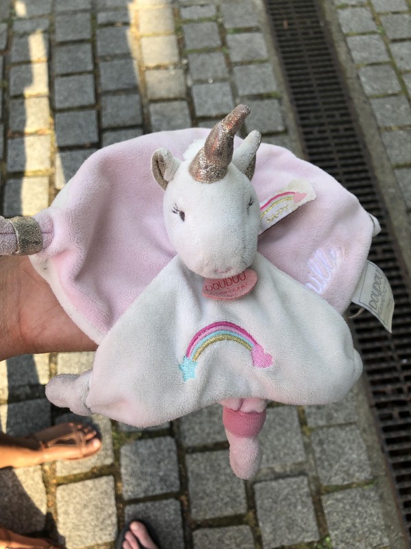 Doudou Licorne Camille trouvé Arcachon