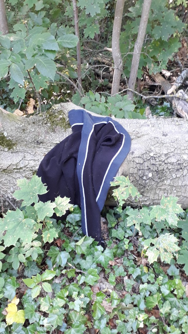 Gilet