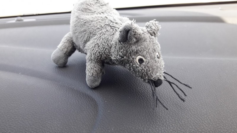 Doudou souris / rat - 21/07/2019 sur un parking du côté A31 en France.