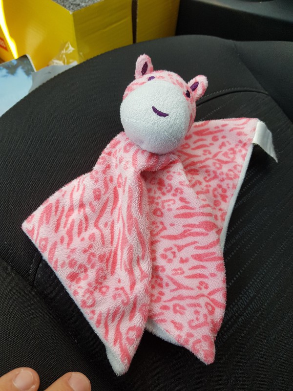 Doudou trouvé sur la route Pont du Brault La Rochelle/Vendée