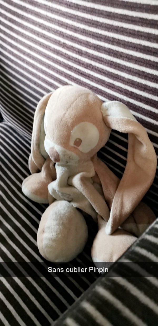 Doudou lapin