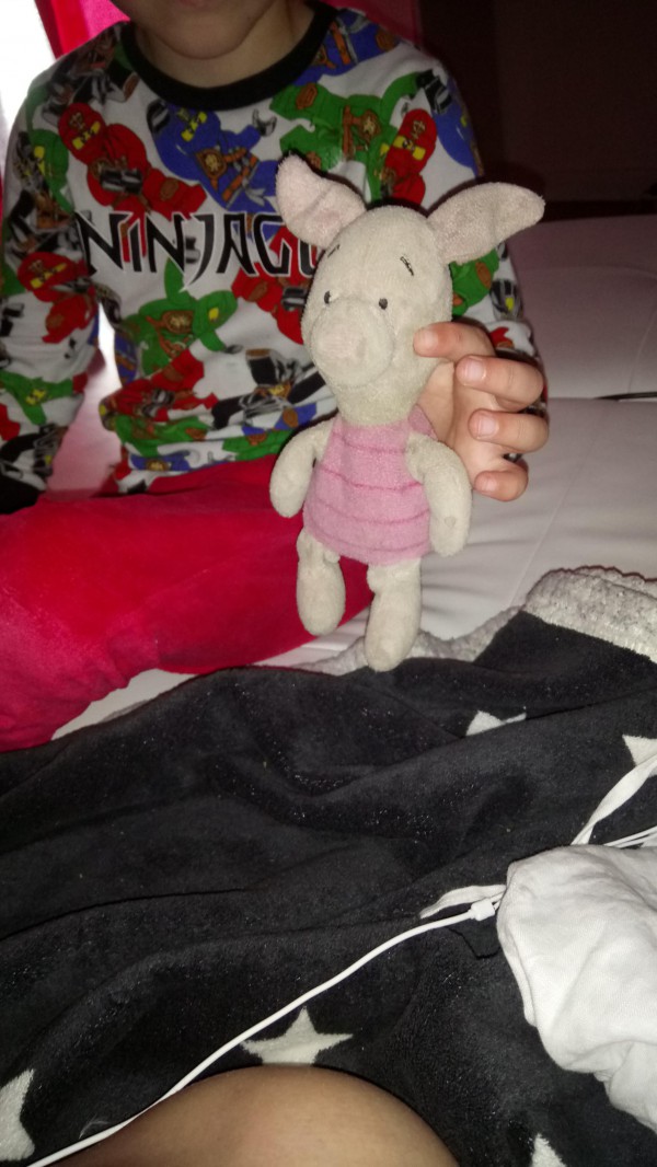 Doudou de mon fils
