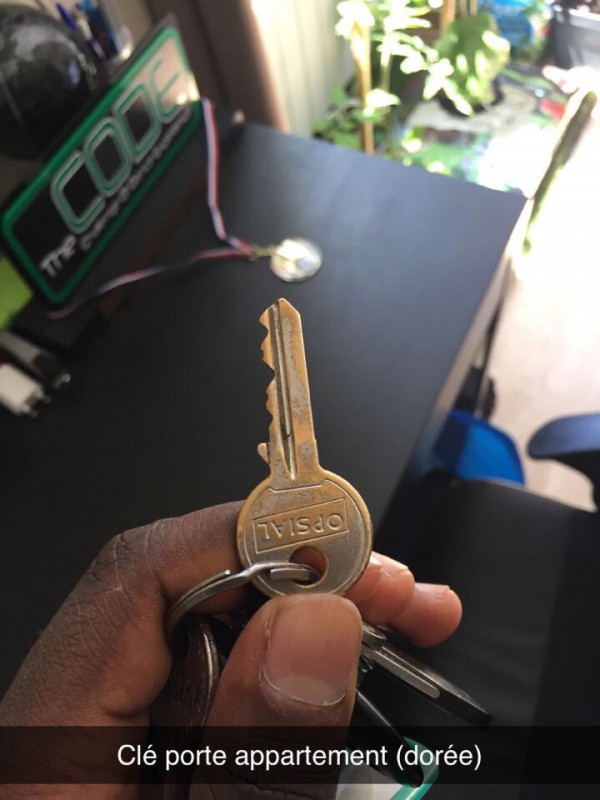 Trousseau de clé appartement et clé voiture Volkswagen