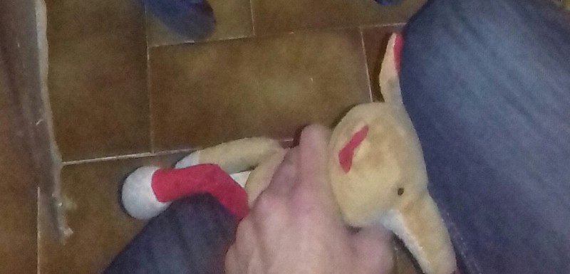 Doudou Renard