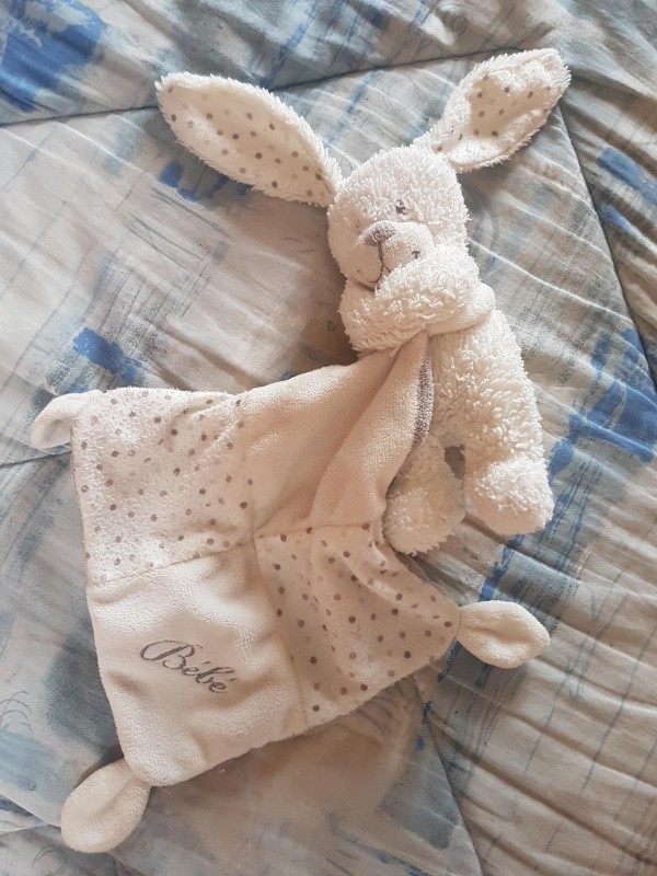 Doudou blanc et gris perdu rue du logis Saint-Palais-sur-mer