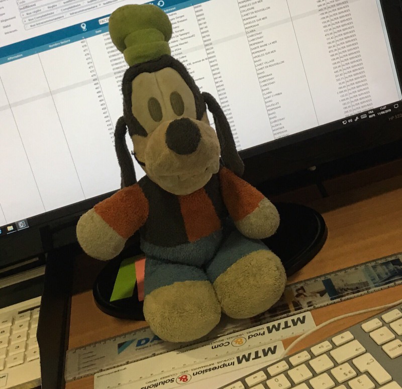 Doudou dingo
