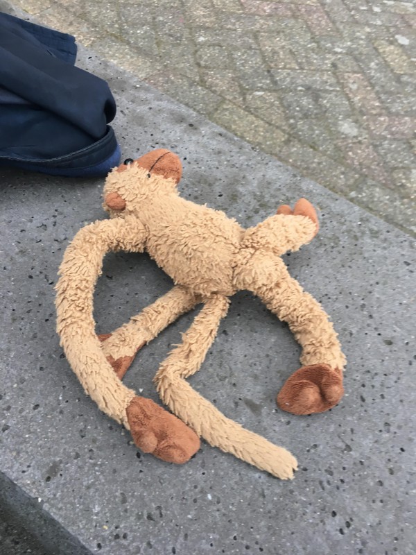 Perdu Doudou singe à Neuves-Maisons (proche Nancy)