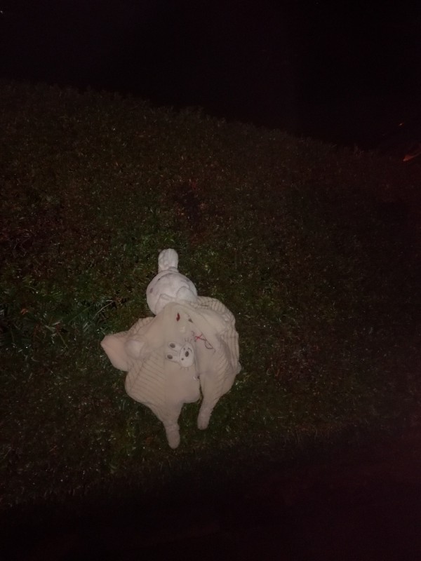 Perdu doudou lapin Auxerre