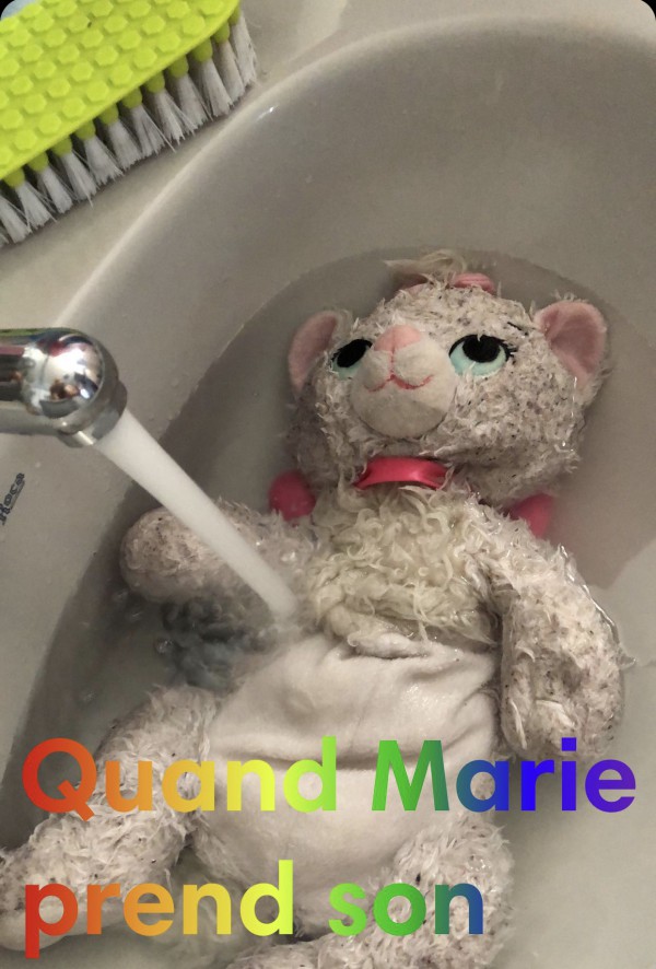 Doudou Marie Disney vole à Toulouse