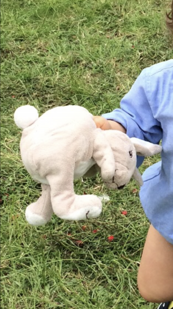Lapin doudou gris perdu à gare de bus de Paris revenant de Beauvais à 10h