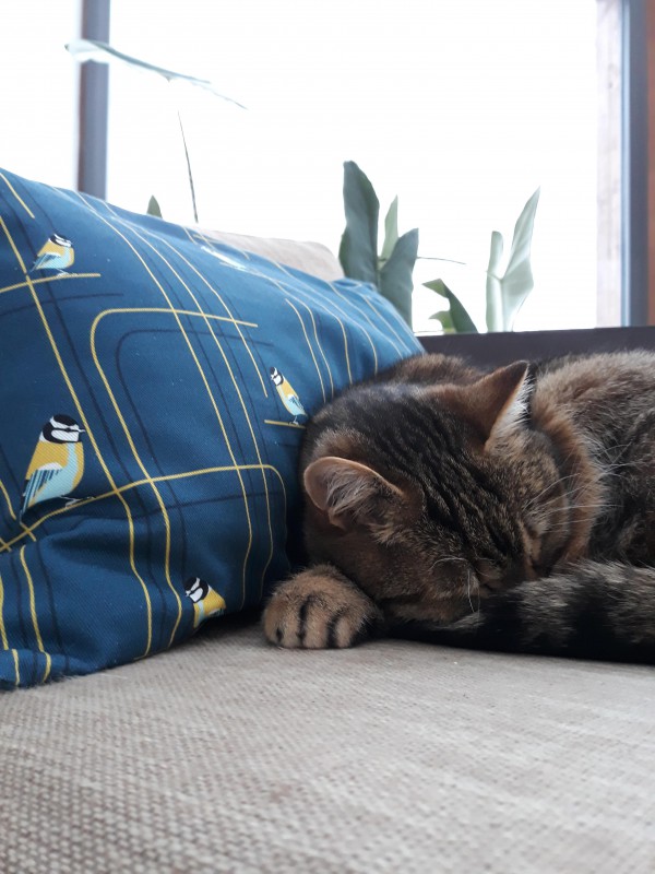 Sac polochon bleu/avec oiseaux