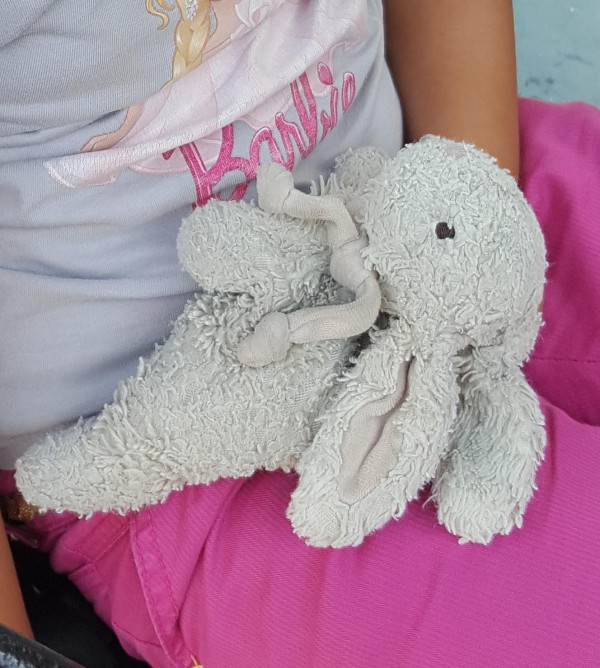 Doudou lapin
