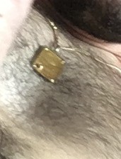 Perdu bijou de famille
