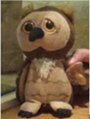 perdu doudou hibou autoroute A50 10 aout