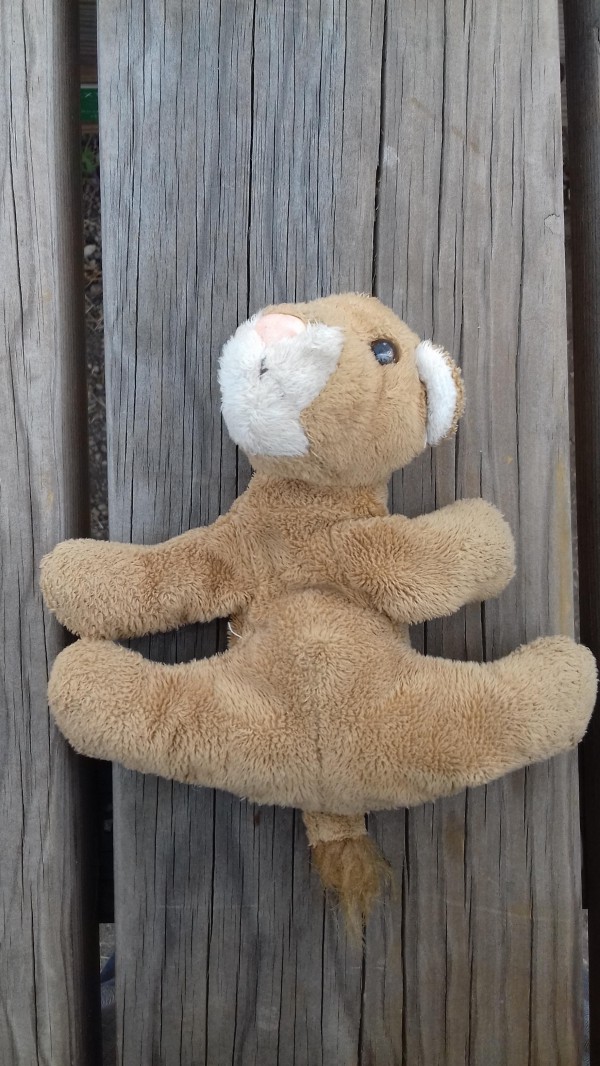 Doudou lionceau