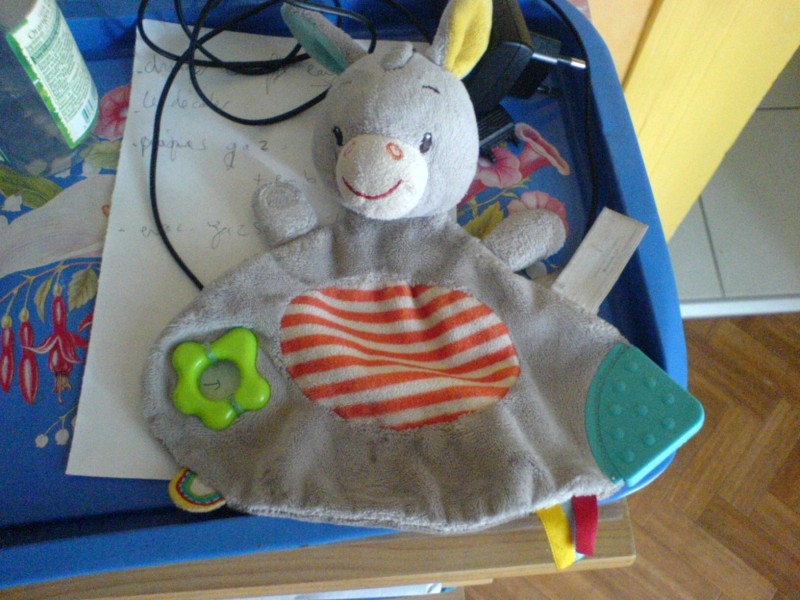trouvé angle rue Domer LYON 7 doudou petit âne ( pour bébés)