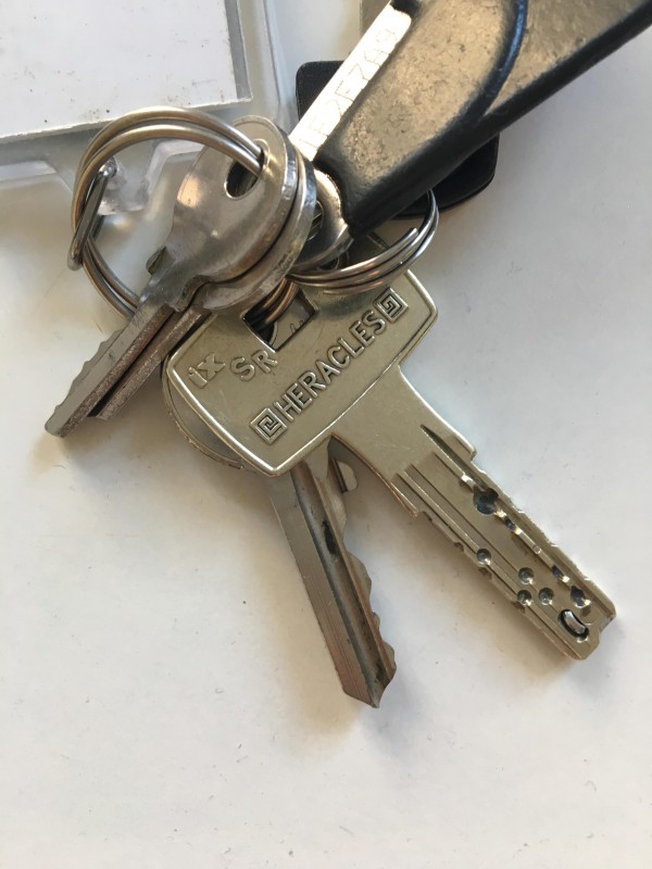 Trousseau de clefs porte clefs oiseau vert 75018