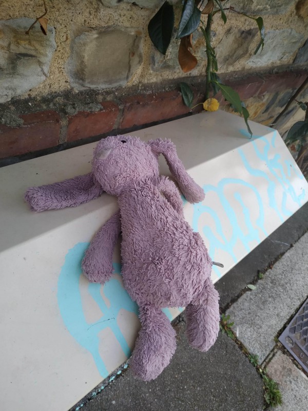 Doudou trouvé rue des planches à rennes