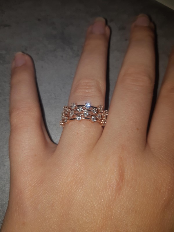 Bague perdu au Lycée François Camel Saint Girons
