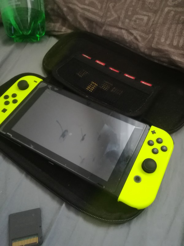 Nintendo switch perdu