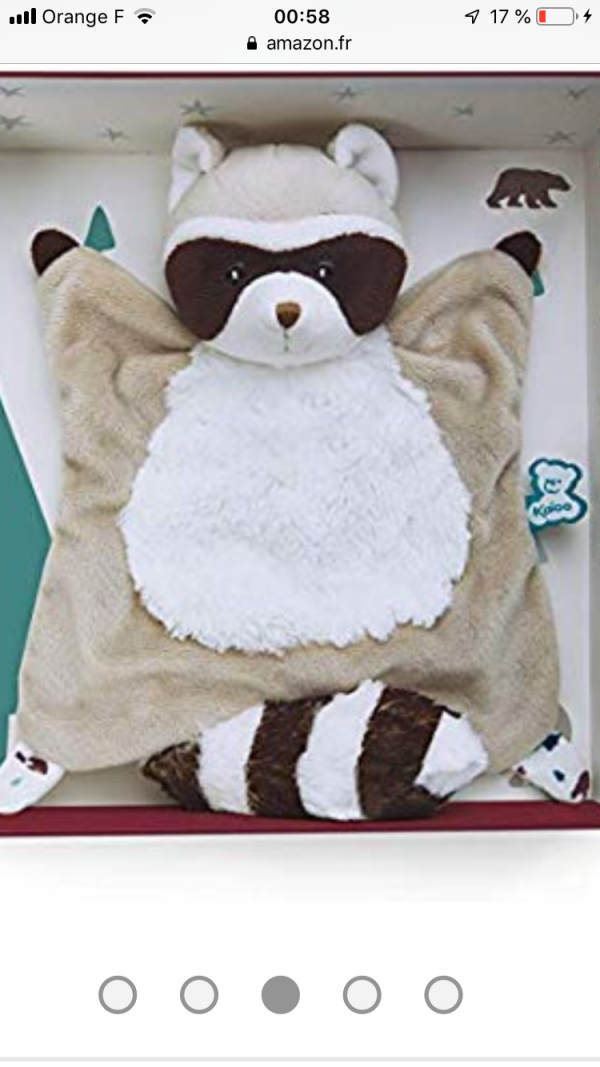 Doudou raton laveur