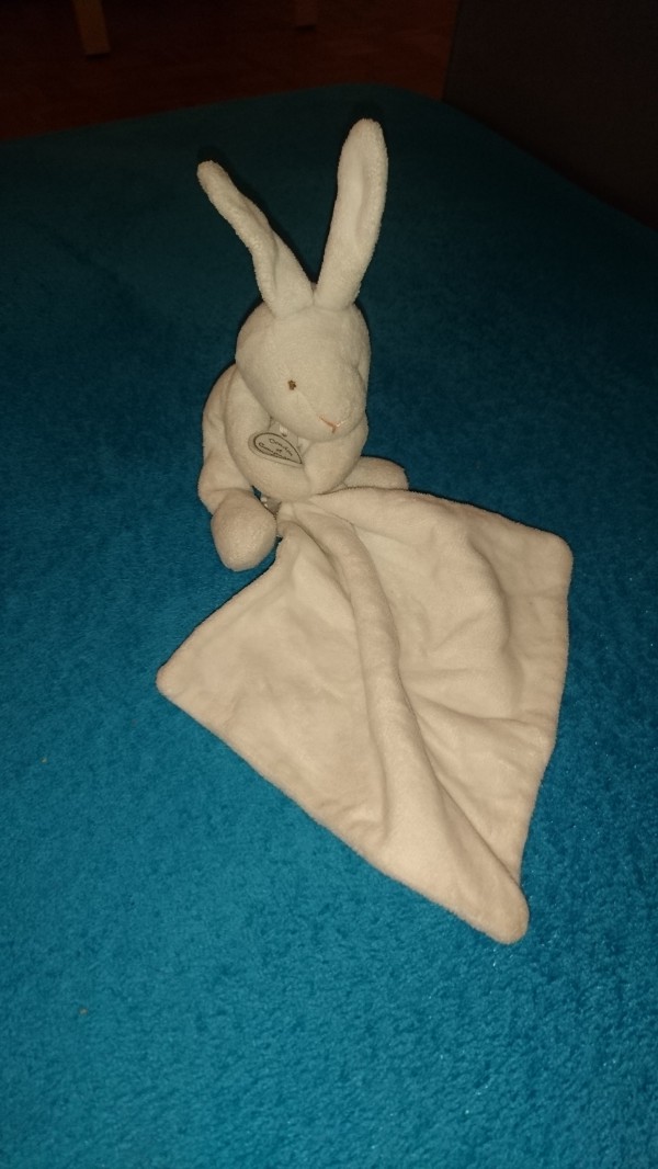 Recherche Doudou Lapin blanc, perdu à Mulhouse (zoo ou parc des expos)