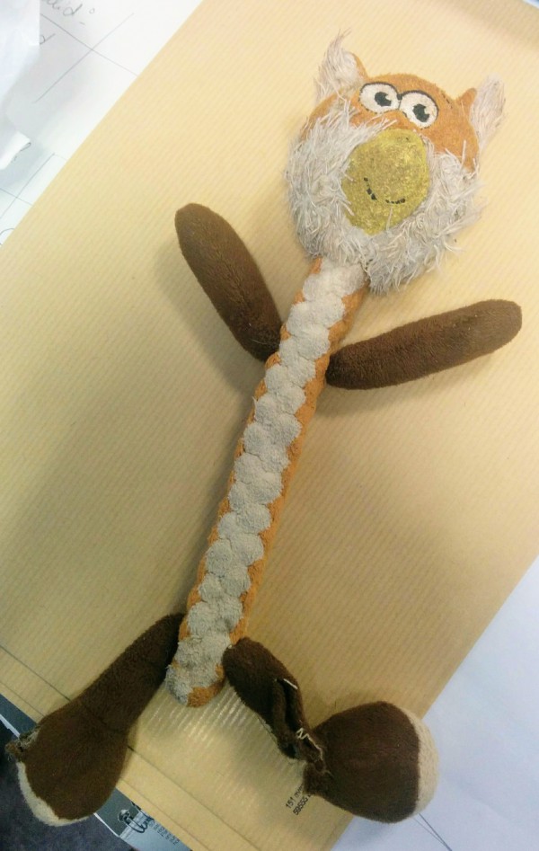 Doudou trouvé rue Lamarck à Amiens