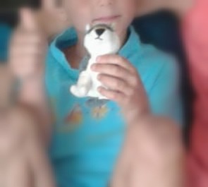 Perdu Petit loup en peluche