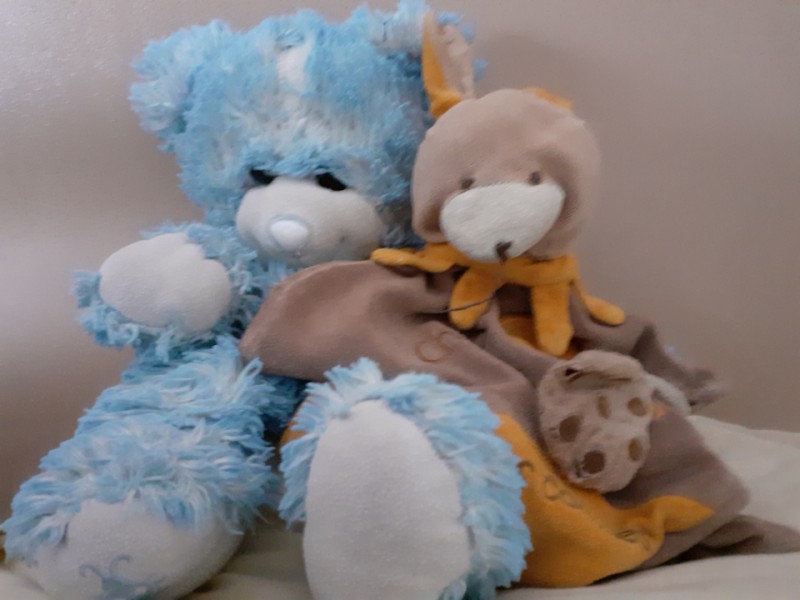 Perdu Doudou ours bleu à challans