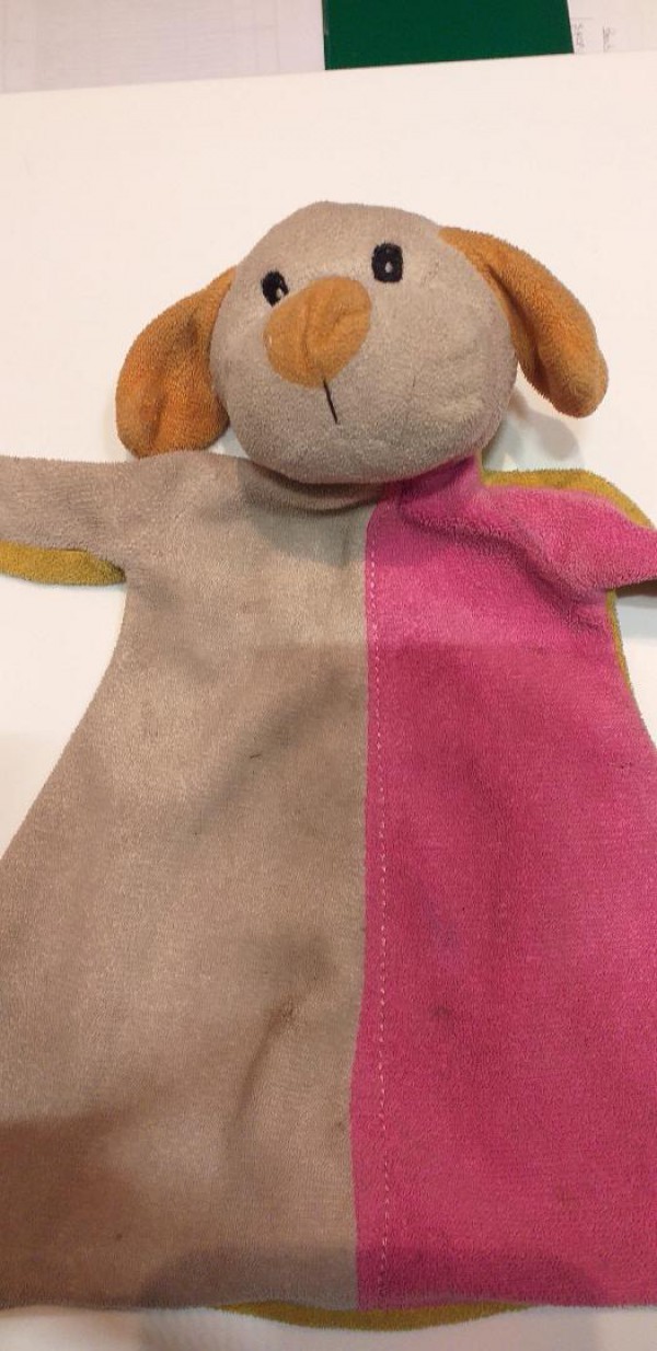 DOUDOU TROUVE A VILLENEUVE D ASCQ LE 29 10 19 SORTIE V2 HOTEL DE VILLE
