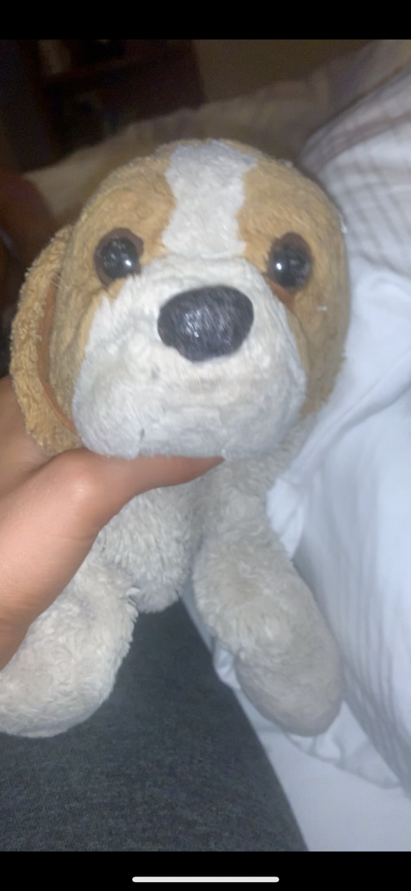 Doudou chien perdu