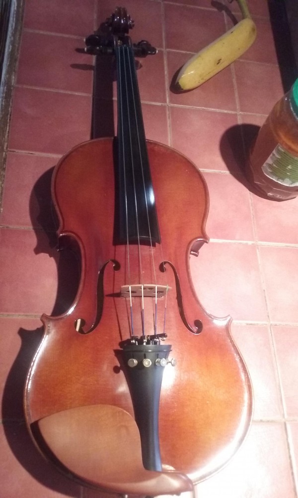 Violon gare de venarey les laumes