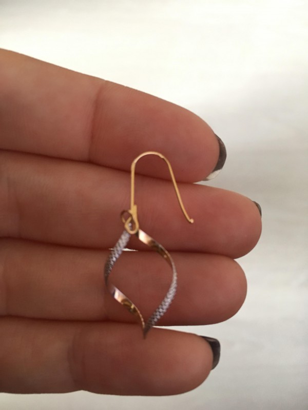 Boucle d'oreille dorée argentée