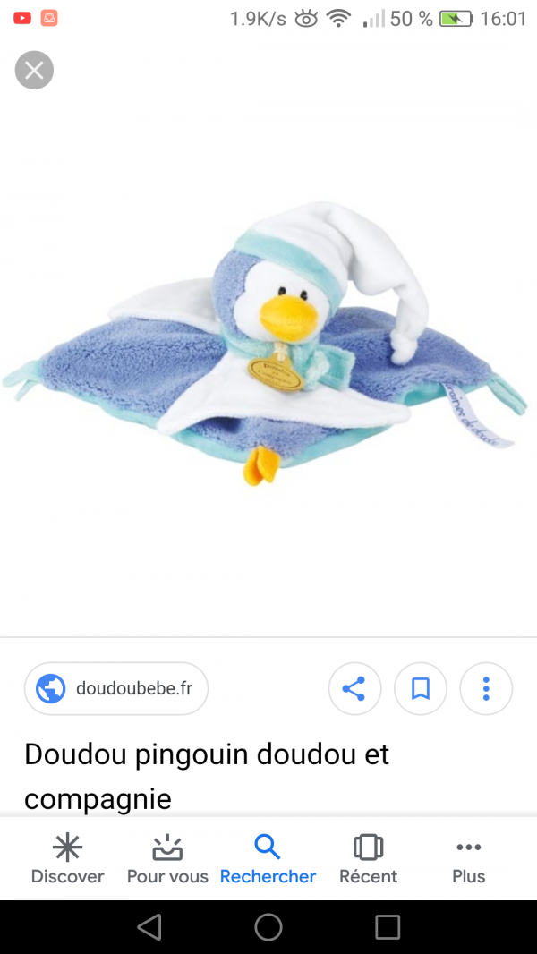 Perdu doudou bleu plat pingouin ds vol tx511 arrivé à orly t4 le 01/11 à 08h00