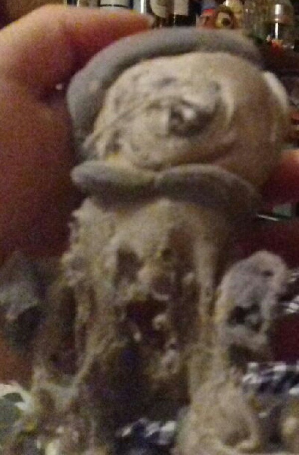 Doudou Gris/Blanc Dijon