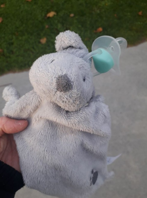 doudou gris avec tétine