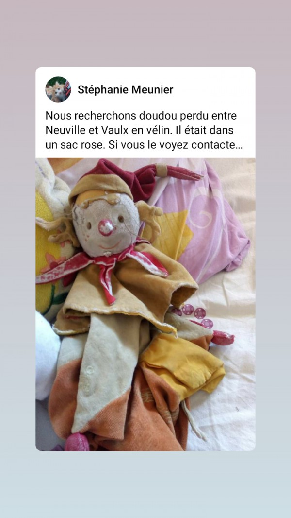Perdu doudou rouge et jaune entre Neuville sur Saône et Villeurbanne