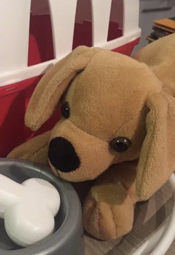 Sacs à dos avec tablette , affaires scolaires , vêtements et doudou