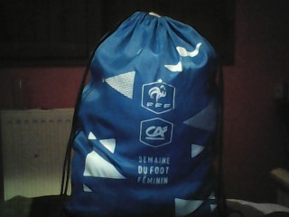 Sac de sport bleu clair volé dans la ligne de bus NIV03 de nivolas à la tour du pin