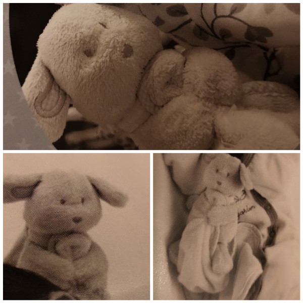 Doudou rose rennes