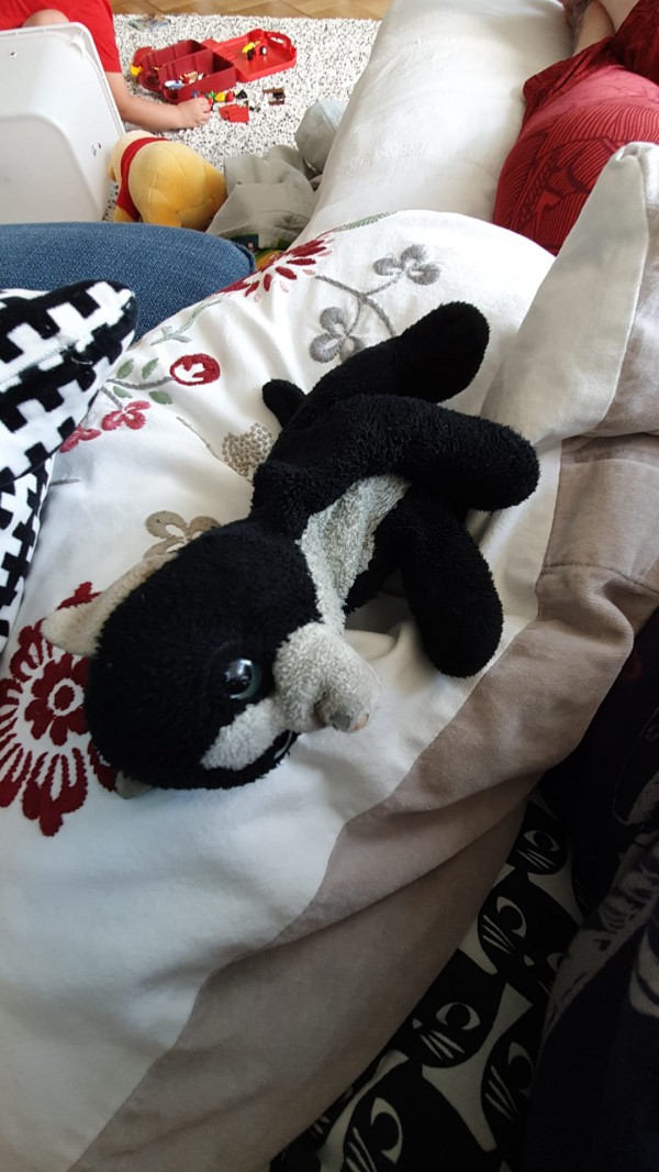 Doudou chat noir perdu 28/12/2019