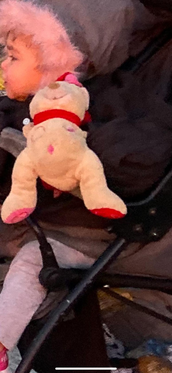 Perdu doudou le 29/12/19 a Biarritz