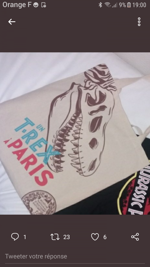 Perdu sac toile tyrex
