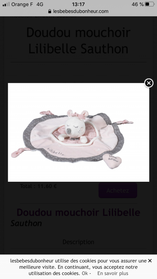 Perdu doudou lilibelle
