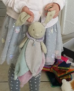 Doudou perdu dimanche 19 janvier