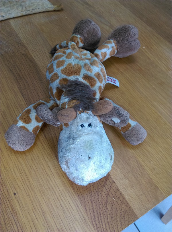 girafe