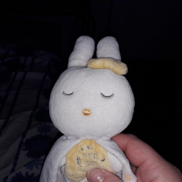 Perdu doudou lapin