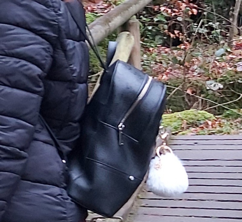 Sac à dos noir volé - Lyon 1er